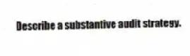 Describe a substantive audit strategy.