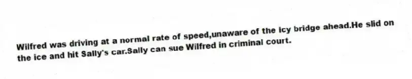 Wilfred was driving at a normal rate of speed,unaware of the icy bridge ahead.He slid on the ice and hit Sally's car.Sally can sue Wilfred in criminal court.