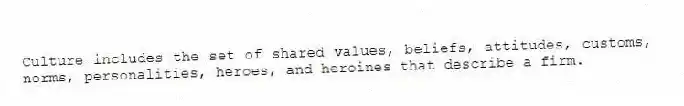 Culture includes the set of shared values, beliefs, attitudes, customs, norms, personalities, heroes, and heroines that describe a firm.