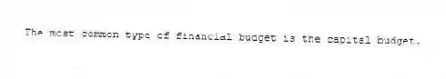 The most common type of financial budget is the capital budget.