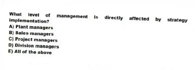 What level of management is directly affected by strategy implementation?
A) Plant managers
B) Sales managers
C) Project managers
D) Division managers
E) All of the above