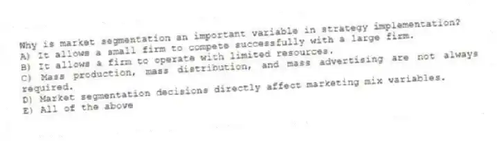 Why is market segmentation an important variable in strategy implementation?
A) It allows a small firm to compete successfully with a large firm.
B) It allows a firm to operate with limited resources.
C) Mass production, mass distribution, and mass advertising are not always required.
D) Market segmentation decisions directly affect marketing mix variables.
E) All of the above