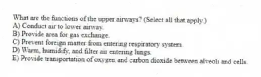 What are the functions of the upper airways? (Select all that apply.)
A) Conduct air to lower airway.
B) Provide area for gas exchange.
C) Prevent foreign matter from entering respiratory system.
D) Warm, humidify, and filter air entering lungs.
E) Provide transportation of oxygen and carbon dioxide between alveoli and cells.