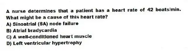 A nurse determines that a patient has a heart rate of 42 beats/min. What might be a cause of this heart rate?
A) Sinoatrial (SA) node failure
B) Atrial bradycardia
C) A well-conditioned heart muscle
D) Left ventricular hypertrophy