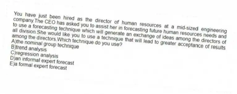 You have just been hired as the director of human resources at a mid-sized engineering company.The CEO has asked you to assist her in forecasting future human resources needs and to use a forecasting technique which will generate an exchange of ideas among the directors of all division.She would like you to use a technique that will lead to greater acceptance of results among the directors.Which technique do you use?
A)the nominal group technique
B)trend analysis
C)regression analysis
D)an informal expert forecast
E)a formal expert forecast