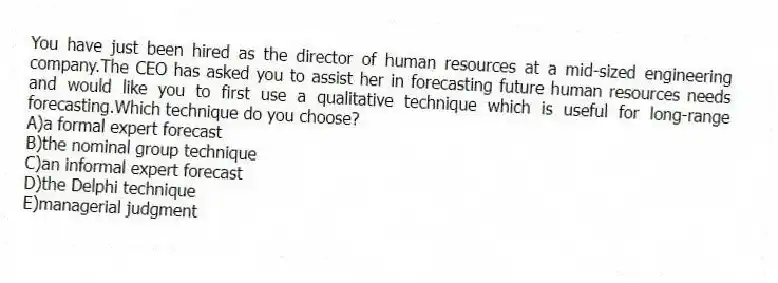 You have just been hired as the director of human resources at a mid-sized engineering company.The CEO has asked you to assist her in forecasting future human resources needs and would like you to first use a qualitative technique which is useful for long-range forecasting.Which technique do you choose?
A)a formal expert forecast
B)the nominal group technique
C)an informal expert forecast
D)the Delphi technique
E)managerial judgment