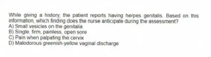 While giving a history, the patient reports having herpes genitalis. Based on this information, which finding does the nurse anticipate during the assessment?
A) Small vesicles on the genitalia
B) Single, firm, painless, open sore
C) Pain when palpating the cervix
D) Malodorous greenish-yellow vaginal discharge
