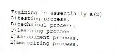 Training is essentially a(n)
A)testing process.
B)technical process.
C)learning process.
D)assessment process.
E)memorizing process.