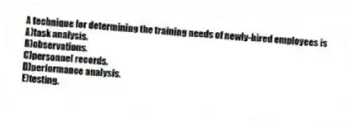 A technique for determining the training needs of newly-hired employees is
A)task analysis.
B)observations.
C)personnel records.
D)performance analysis.
E)testing.