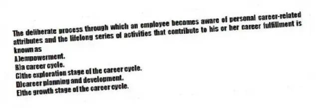 The deliberate process through which an employee becomes aware of personal career-related attributes and the lifelong series of activities that contribute to his or her career fulfillment is known as
A)empowerment.
B)a career cycle.
C)the exploration stage of the career cycle.
D)career planning and development.
E)the growth stage of the career cycle.