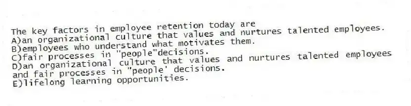 The key factors in employee retention today are
A)an organizational culture that values and nurtures talented employees.
B)employees who understand what motivates them.
C)fair processes in "people"decisions.
D)an organizational culture that values and nurtures talented employees and fair processes in "people' decisions.
E)lifelong learning opportunities.
