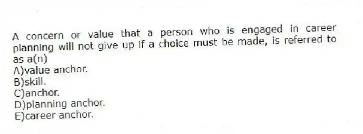 A concern or value that a person who is engaged in career planning will not give up if a choice must be made, is referred to as a(n)
A)value anchor.
B)skill.
C)anchor.
D)planning anchor.
E)career anchor.