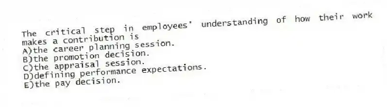 The critical step in employees' understanding of how their work makes a contribution is
A)the career planning session.
B)the promotion decision.
C)the appraisal session.
D)defining performance expectations.
E)the pay decision.