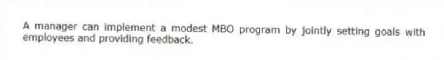 A manager can implement a modest MBO program by jointly setting goals with employees and providing feedback.