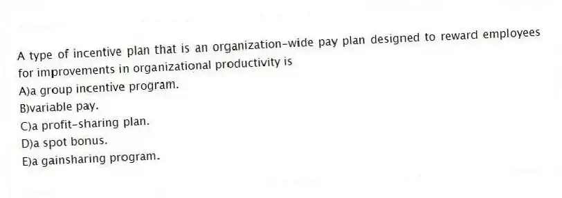 A type of incentive plan that is an organization-wide pay plan designed to reward employees for improvements in organizational productivity is
A)a group incentive program.
B)variable pay.
C)a profit-sharing plan.
D)a spot bonus.
E)a gainsharing program.
