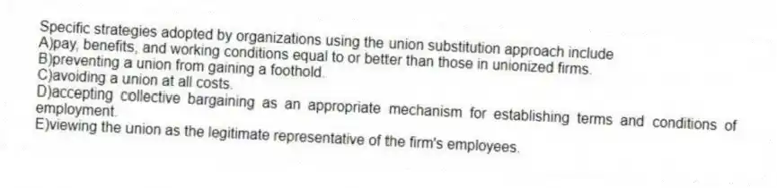 Specific strategies adopted by organizations using the union substitution approach include
A)pay, benefits, and working conditions equal to or better than those in unionized firms.
B)preventing a union from gaining a foothold.
C)avoiding a union at all costs.
D)accepting collective bargaining as an appropriate mechanism for establishing terms and conditions of employment.
E)viewing the union as the legitimate representative of the firm's employees.