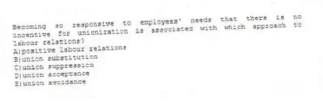 Becoming so responsive to employees' needs that there is no incentive for unionization is associated with which approach to labour relations?
A)positive labour relations
B)union substitution
C)union suppression
D)union acceptance
E)union avoidance