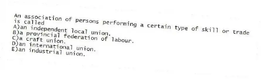 An association of persons performing a certain type of skill or trade is called
A)an independent local union.
B)a provincial federation of labour.
C)a craft union.
D)an international union.
E)an industrial union.