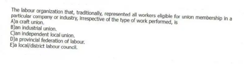 The labour organization that, traditionally, represented all workers eligible for union membership in a particular company or industry, irrespective of the type of work performed, is
A)a craft union.
B)an industrial union.
C)an independent local union.
D)a provincial federation of labour.
E)a local/district labour council.