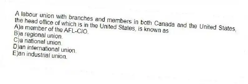 A labour union with branches and members in both Canada and the United States, the head office of which is in the United States, is known as
A)a member of the AFL-CIO.
B)a regional union.
C)a national union.
D)an international union.
E)an industrial union.