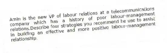 Amin is the new VP of labour relations at a telecommunications company which has a history of poor labour-management relations.Describe four strategies you recommend he use to assist in building an effective and more positive labour-management relationship.