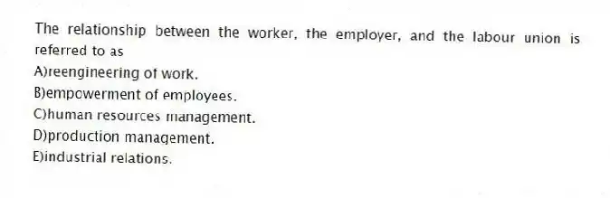 The relationship between the worker, the employer, and the labour union is referred to as
A)reengineering of work.
B)empowerment of employees.
C)human resources management.
D)production management.
E)industrial relations.