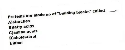 Proteins are made up of "building blocks" called _____.
A)starches
B)fatty acids
C)amino acids
D)cholesterol
E)fiber