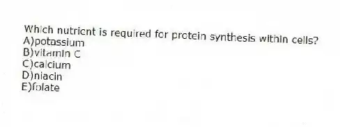 Which nutrient is required for protein synthesis within cells?
A)potassium
B)vitamin C
C)calcium
D)niacin
E)folate