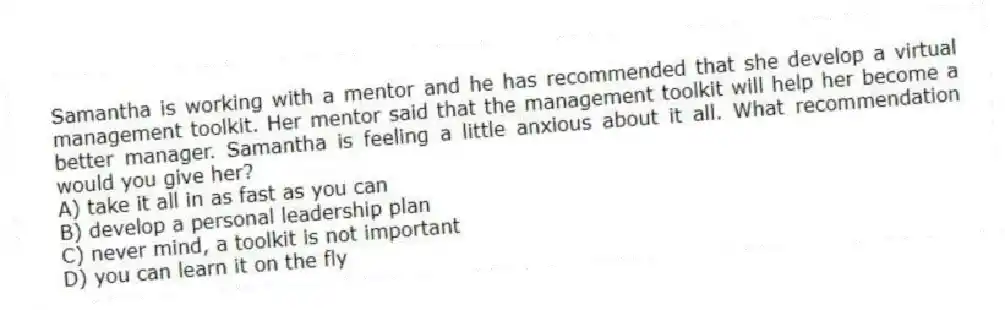 Samantha is working with a mentor and he has recommended that she develop a virtual management toolkit. Her mentor said that the management toolkit will help her become a better manager. Samantha is feeling a little anxious about it all. What recommendation would you give her?
A) take it all in as fast as you can
B) develop a personal leadership plan
C) never mind, a toolkit is not important
D) you can learn it on the fly
