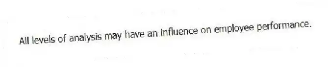 All levels of analysis may have an influence on employee performance.
