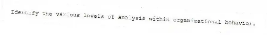 Identify the various levels of analysis within organizational behavior.