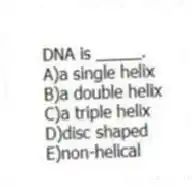 DNA is _____.
A)a single helix
B)a double helix
C)a triple helix
D)disc shaped
E)non-helical