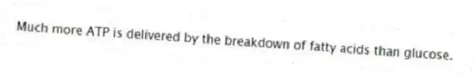 Much more ATP is delivered by the breakdown of fatty acids than glucose.