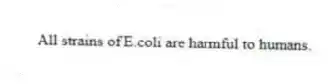 All strains of E.coli are harmful to humans.​