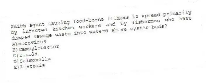 Which agent causing food-borne illness is spread primarily by infected kitchen workers and by fishermen who have dumped sewage waste into waters above oyster beds?
A)norovirus
B)Campylobacter
C)E.coli
D)Salmonella
E)Listeria