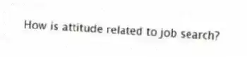 How is attitude related to job search?
