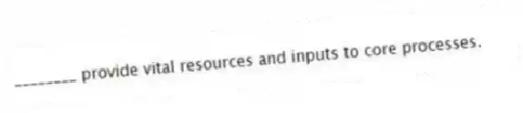 ________ provide vital resources and inputs to core processes.