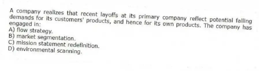 A company realizes that recent layoffs at its primary company reflect potential falling demands for its customers' products, and hence for its own products. The company has engaged in:
A) flow strategy.
B) market segmentation.
C) mission statement redefinition.
D) environmental scanning.