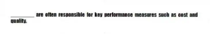 ________ are often responsible for key performance measures such as cost and quality.