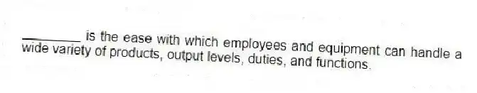 ________ is the ease with which employees and equipment can handle a wide variety of products, output levels, duties, and functions.