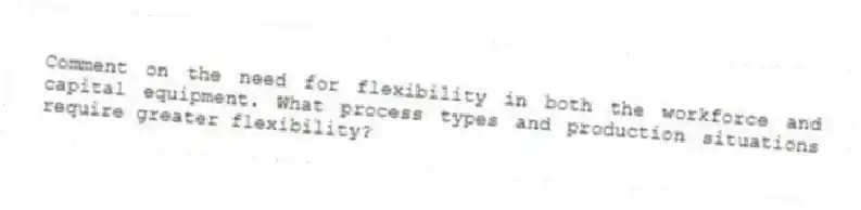 Comment on the need for flexibility in both the workforce and capital equipment. What process types and production situations require greater flexibility?