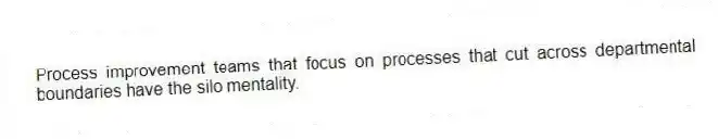 Process improvement teams that focus on processes that cut across departmental boundaries have the silo mentality.