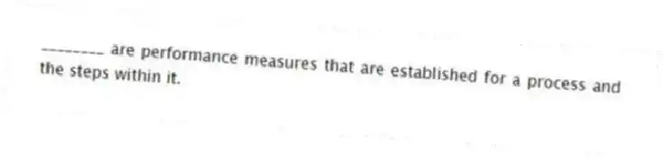 ________ are performance measures that are established for a process and the steps within it.
