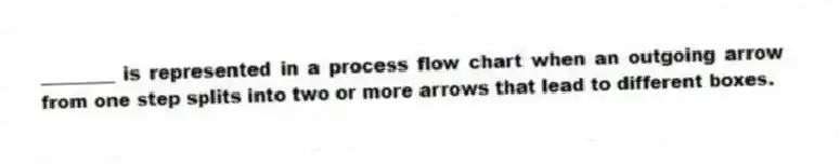 ________ is represented in a process flow chart when an outgoing arrow from one step splits into two or more arrows that lead to different boxes.