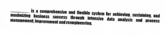 ________ is a comprehensive and flexible system for achieving, sustaining, and maximizing business success through intensive data analysis and process management, improvement and reengineering.