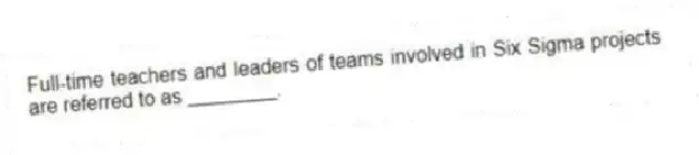 Full-time teachers and leaders of teams involved in Six Sigma projects are referred to as ________.