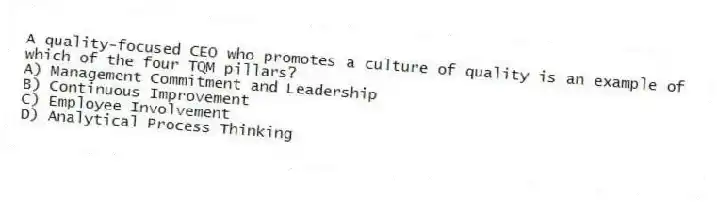 A quality-focused CEO who promotes a culture of quality is an example of which of the four TQM pillars?
A) Management Commitment and Leadership
B) Continuous Improvement
C) Employee Involvement
D) Analytical Process Thinking