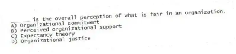 ______ is the overall perception of what is fair in an organization.
A) Organizational commitment
B) Perceived organizational support
C) Expectancy theory
D) Organizational justice