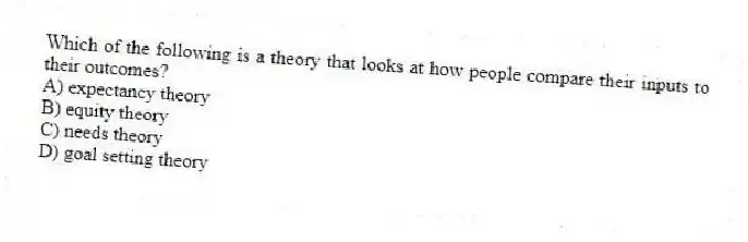 Which of the following is a theory that looks at how people compare their inputs to their outcomes?
A) expectancy theory
B) equity theory
C) needs theory
D) goal setting theory