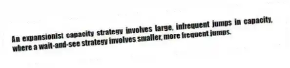 An expansionist capacity strategy involves large, infrequent jumps in capacity, where a wait-and-see strategy involves smaller, more frequent jumps.